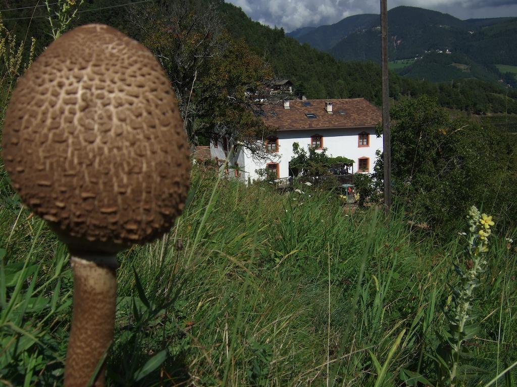 Gruberhof Villa Jenesien Eksteriør billede